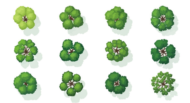 Collection of Top View Tree Icons for Landscape Design and Nature Illustrations
