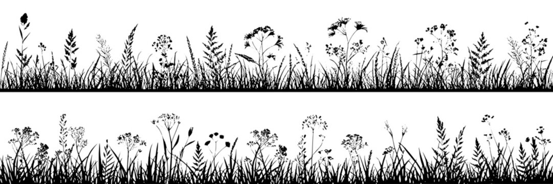 Grass meadow border silhouette set with wildflowers and herbs, horizontal black floral edge frames for nature design, spring field decoration, isolated on white