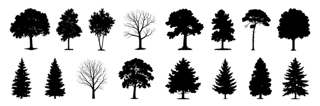 Trees silhouette vector set with assorted deciduous and conifer shapes, black forest icons for landscape design, ecology posters, park maps, logos and nature scenes