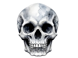 Obraz premium A simple illustration of a skull in black and white