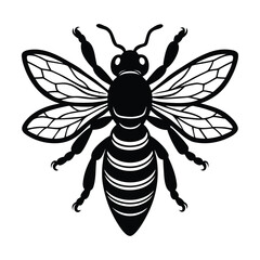 Obraz premium A vibrant close-up of a diverse group of joyful friends sharing a digital tablet while laughing together in a sunlit modern cafe