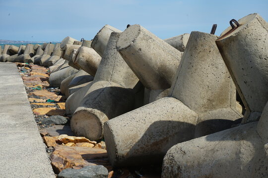 tetrapods
