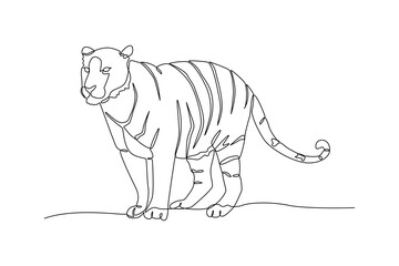 Naklejka premium Tiger Standing In Wild Nature. Wild Animal Concept. Single line draw design Video 4k. Footage graphic illustration