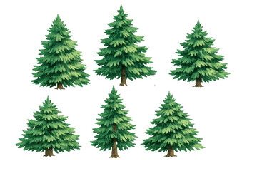 Fototapeta premium Collection of green pine trees with natural texture on a transparent background, depicting a forest or nature element