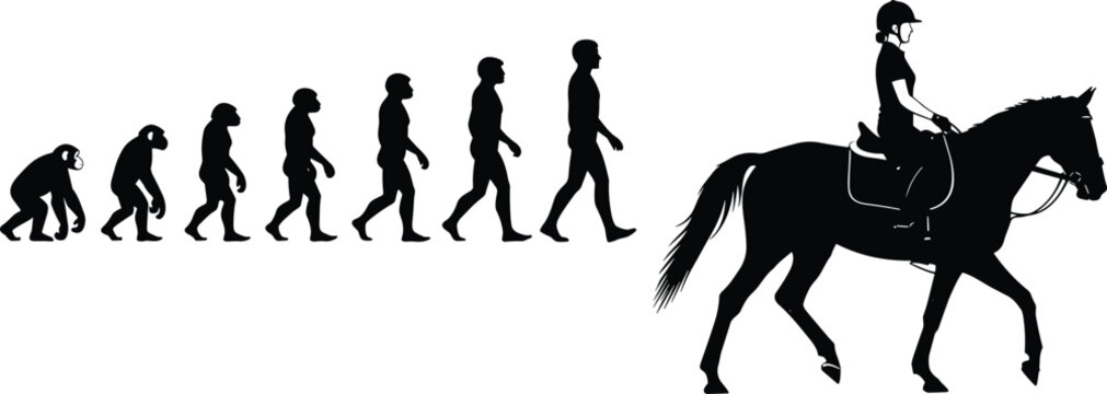 Human Evolution of Horse Riding Silhouette with Darwin Theory of Evolution Progressing from Ape to a Woman Equestrian Rider Sitting on a Stallion Horse (25 words)