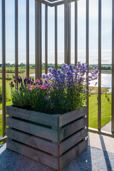 Fototapeta premium Wooden planter box with blooming purple flowers on sunny balcony with scenic lake view and lens flare