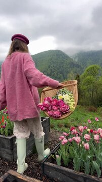 Calm static video of a woman collecting fresh tulips in a raised garden bed in the mountains. Slow living lifestyle, peaceful spring atmosphere, natural countryside scenery and gentle breeze creating