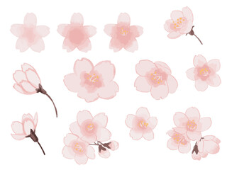 watercolor-cherry-blossom-set-sakura