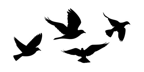 Obraz premium Five birds flying in a clear sky with black silhouettes against a white background Vector