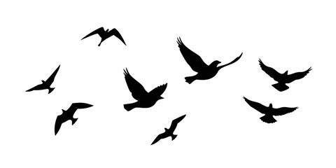 Obraz premium A flock of birds flying in a v-formation against a white background Vector