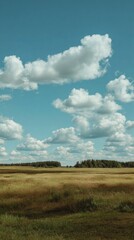 beautiful green meadow with a blue sky