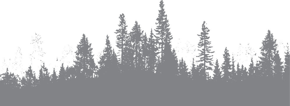 Silhouette of evergreen trees against a white background with scattered speckles forest pine spruce
