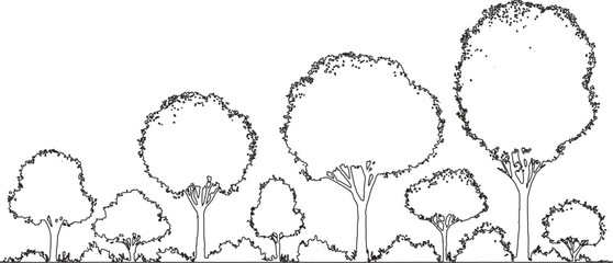 Obraz premium Black and white line of diverse trees and bushes against a white background plant nature outdoor