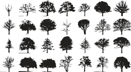 Collection of diverse black tree silhouettes on white background. Various shapes and sizes of deciduous and coniferous trees © Pixel Park