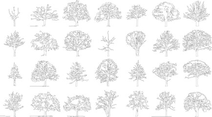 Collection of black and white line of various deciduous and coniferous trees outline silhouette © Pixel Park