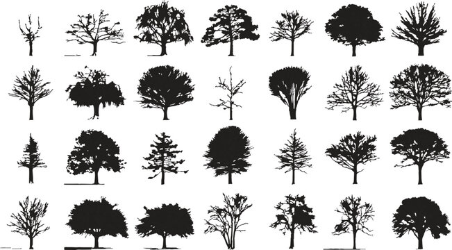 Collection of diverse black tree silhouettes on white background. Various shapes and sizes of deciduous and coniferous trees