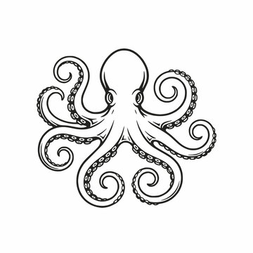 Vintage style octopus vector illustration with curled tentacles isolated on white background