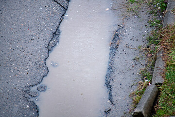A gloomy day, a puddle and rain