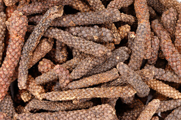 Dried long pepper spice ingredient preparing food