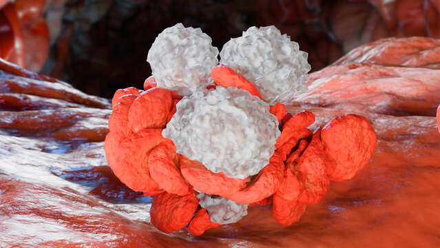 Formation of a blood clot, blocked blood, Clot in blood vessels, arteries and capillaries, 3D animation 4k high resolution 3d render