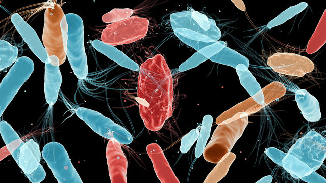 Bacteria with Different Flagella Types, Monotrichous, Amphitrichous, Lophotrichous, Peritrichous, Medical Microbiology animation, Motile Bacterial Cells, Rod-Shaped and Spiral Bacteria, Microscopic 