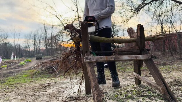 Broll cutting firewood logs with chainsaw on sawhorse outdoors