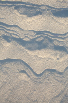 snow texture background