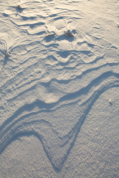 traces on snow