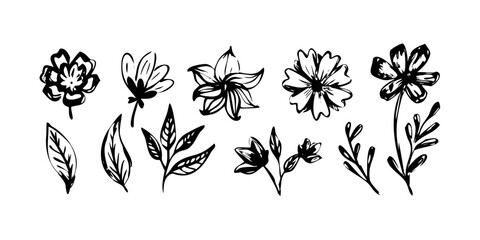Obraz premium A delicate collection of various flowers and plants, each unique in shape and form. Vector