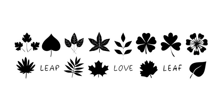 Black and white leaf and love themed border design with various leaf shapes Vector