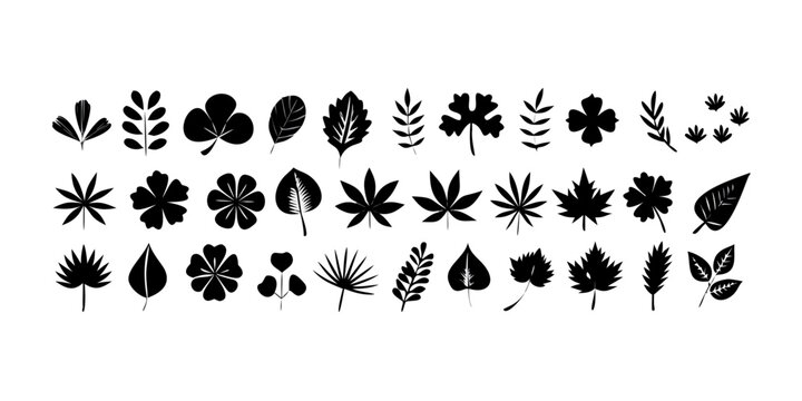 A diverse collection of cannabis leaf icons in varying shapes and styles Vector
