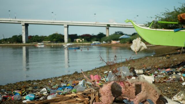 Shoreline trash full plastic waste Filipino dog aspin asong pinoy hungry suffering skin disease furless with red swollen skin and bloody sores finding food rubbish and overwhelming abundance garbage