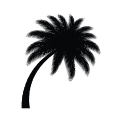 Obraz premium Chic vector illustration of a palm tree, exuding a modern and stylish vibe, perfect for fashion or lifestyle-related design projects.