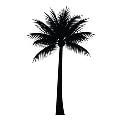 Obraz premium Palm tree line art vector, elegant outline for minimalist branding, invitations, and stationery.