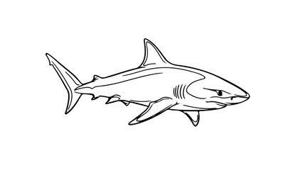 Fototapeta premium A minimalist vector illustration of a shark in a flat design style