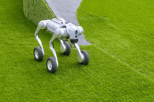 Gray smart robot dog on pneumatic wheels
