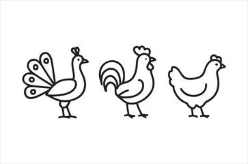 Obraz premium Simple black and white line drawing of a peacock rooster and two hens