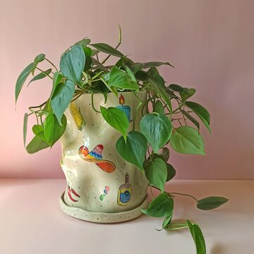 A ceramic planter with a Mexican vibe and a juicy philodendron houseplant on a pink backdrop. Cozy indoor greenery concept with playful pottery and a modern plant-lover atmosphere.