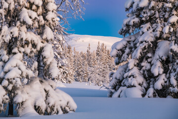Snow covers trees and mountains in winter landscape of Sweden with clear blue sky and bright sunlight
