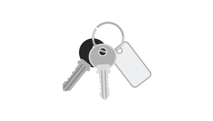 Silver keys on key ring security tool icon