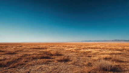 Fototapeta premium Vast Desert Landscape Under a Clear Sky