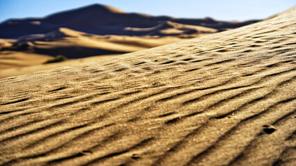 Wind ripples forming textured patterns on desert sand dune