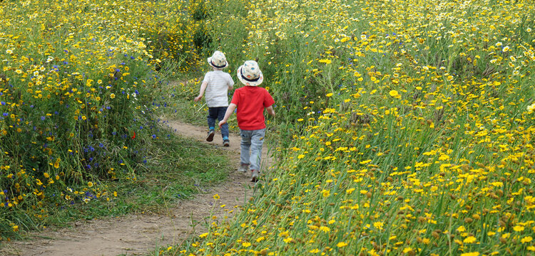 Two Little Boys running though wild flowerr meadow 