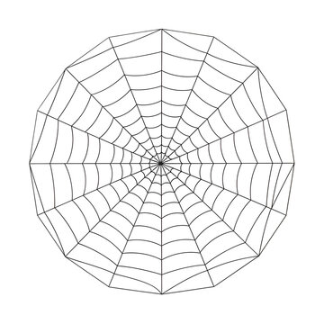 Intricate spider web illustration with complex pattern
