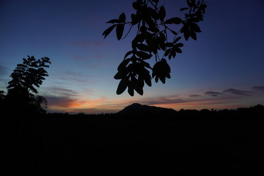 Moody predawn landscape with a silhouetted mountain and trees under a blue and orange sky.
