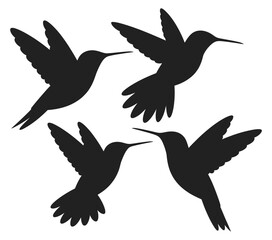 Obraz premium Hummingbird Silhouettes flying birds in elegant vector illustration