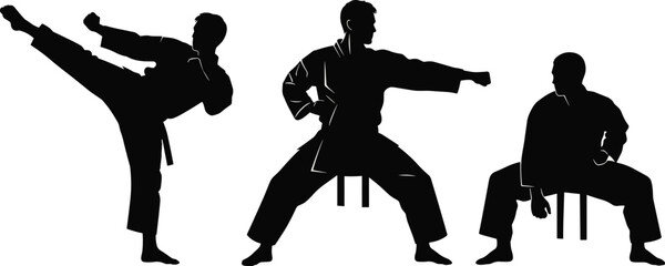 Karate silhouettes, martial arts stances, karate kick illustration, martial discipline artwork, karate punch design, dojo training vector composition © MdNaimurRahaman