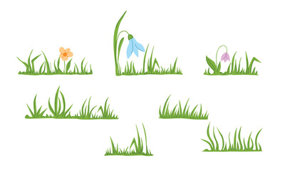 Spring green grass and flowers set. Minimalist flat illustration for garden design, nature posters, and Easter decor. Isolated elements on white background