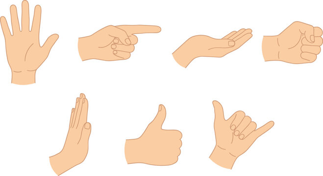 Collection of hand gestures and body language icons including palm, pointing finger, fist, thumbs up, and shaka sign, isolated vector