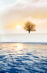 Baum auf einem H&uuml;gel mit einem gefrorenen See